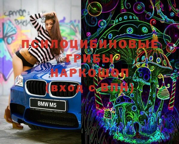 МДПВ Коряжма