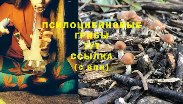 скорость Кодинск