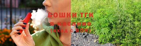 прущие крисы Козловка