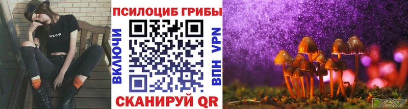 MEGA ТОР  сколько стоит  Чухлома  Псилоцибиновые грибы ЛСД 